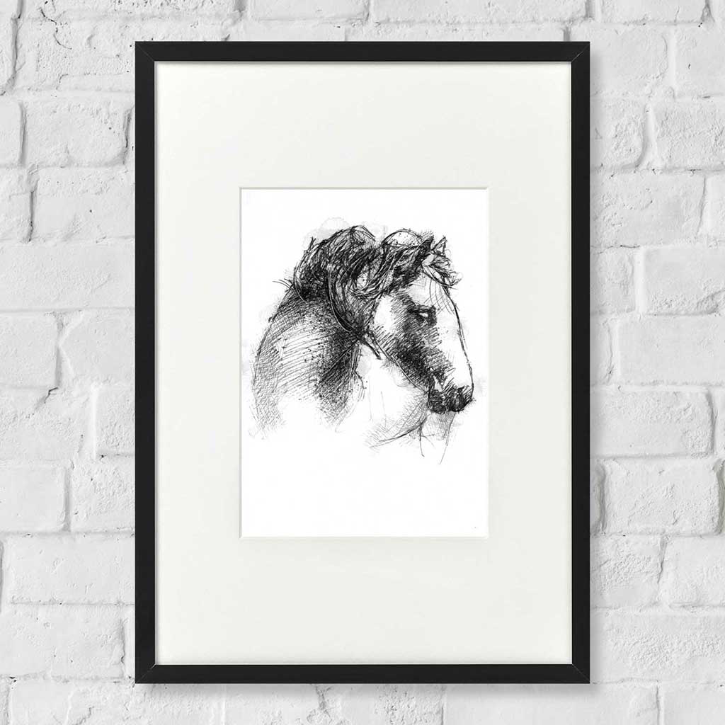 Connemara pony