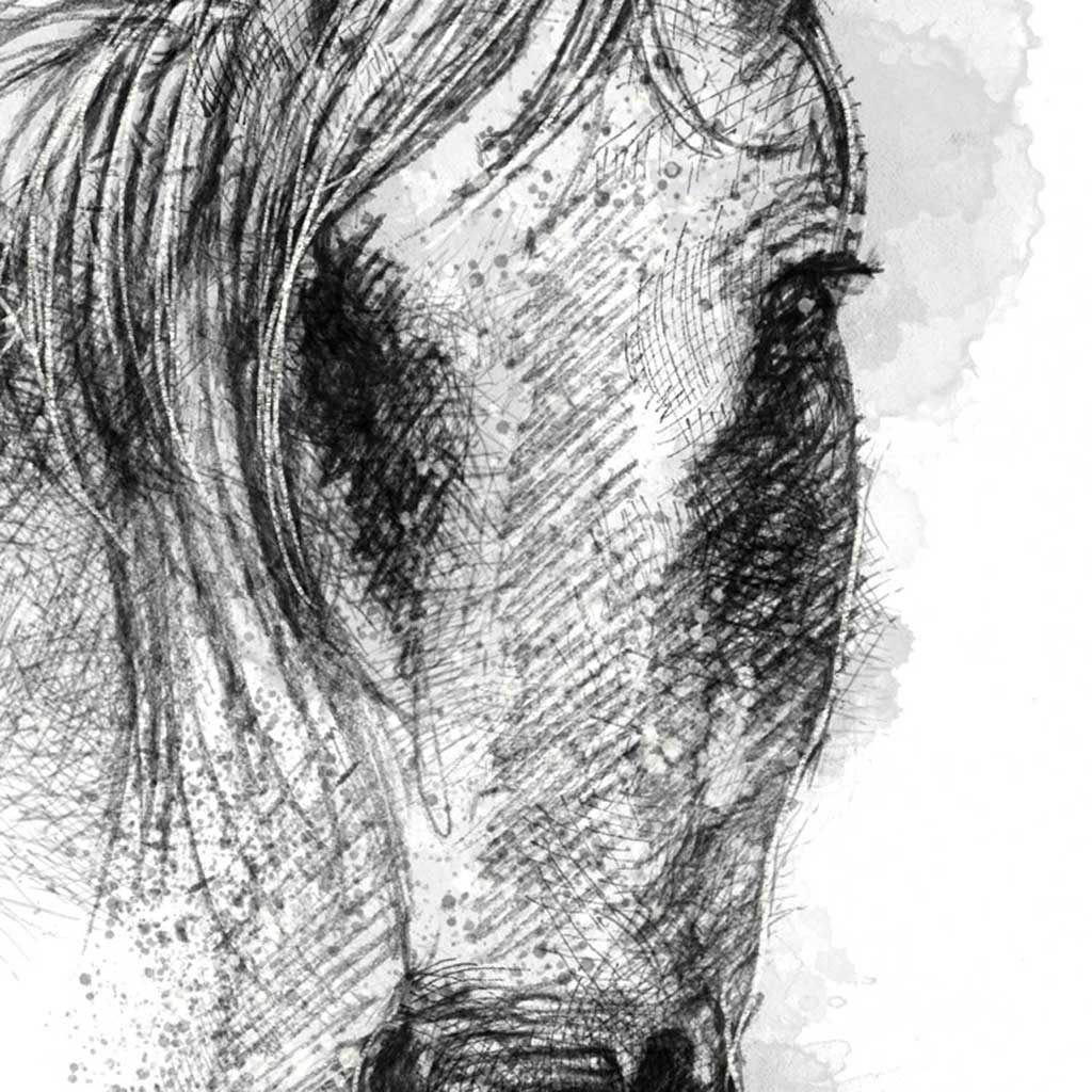 Connemara pony
