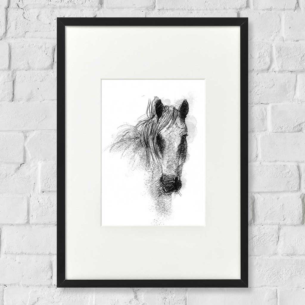 Connemara pony