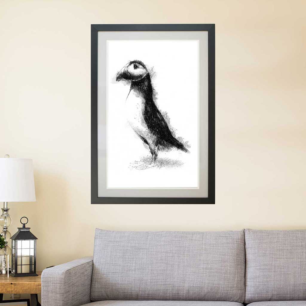 Puffin