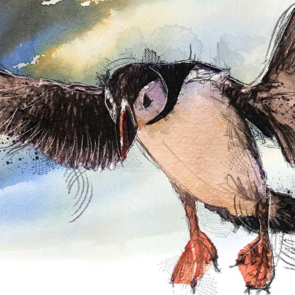 Puffin flight