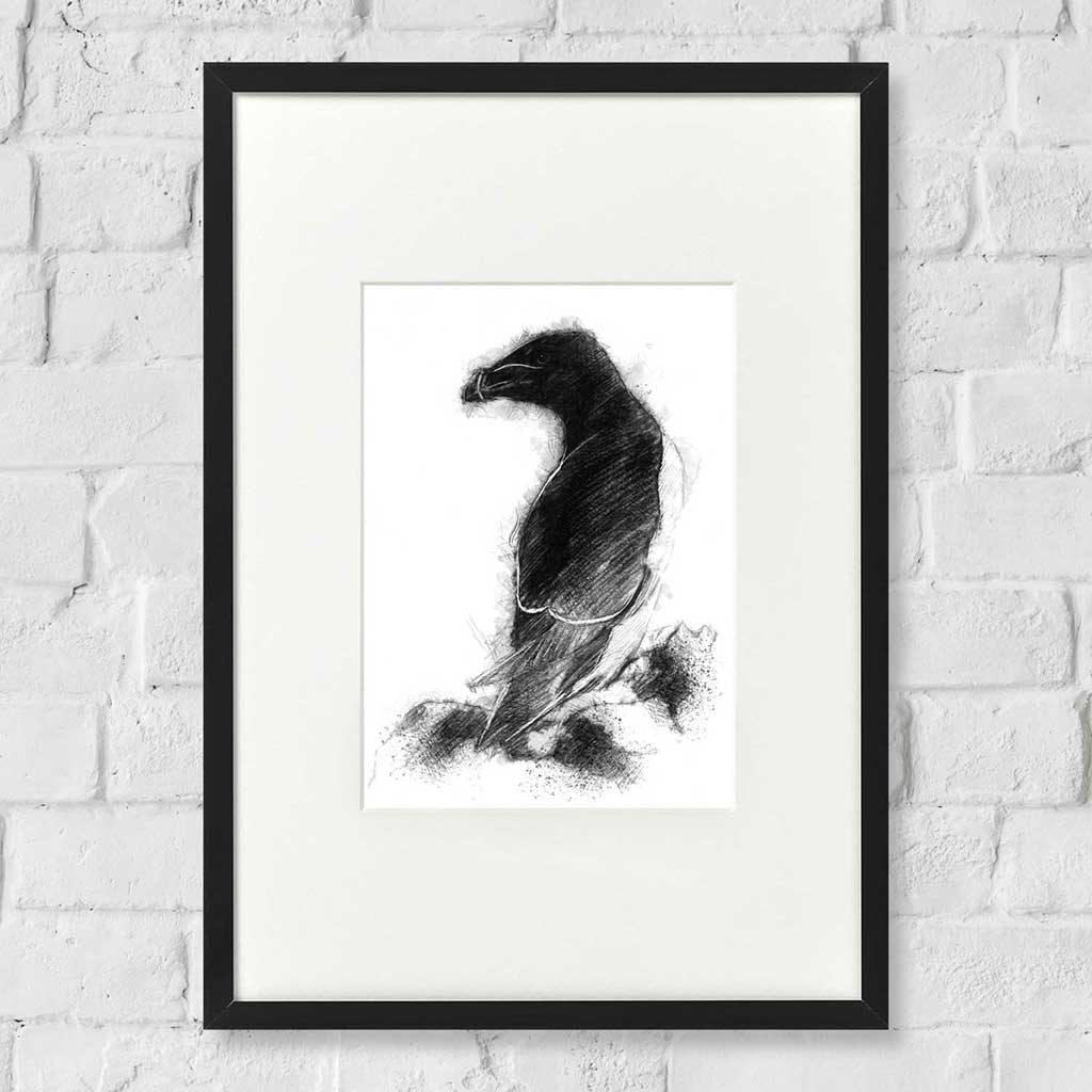 Razorbill