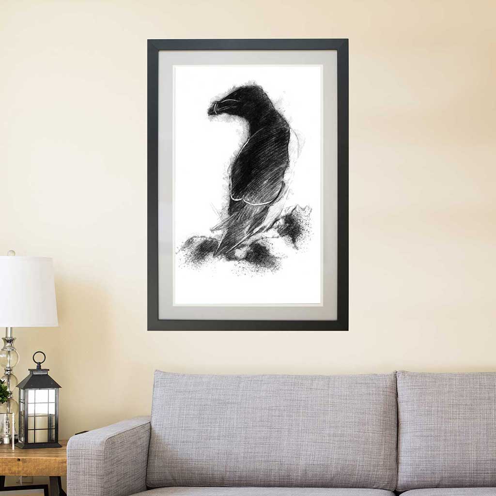 Razorbill