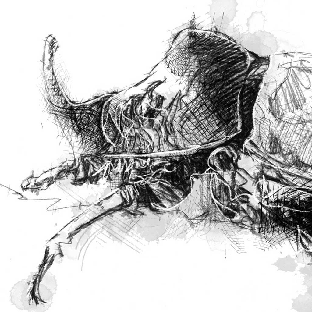 Rhino beetle