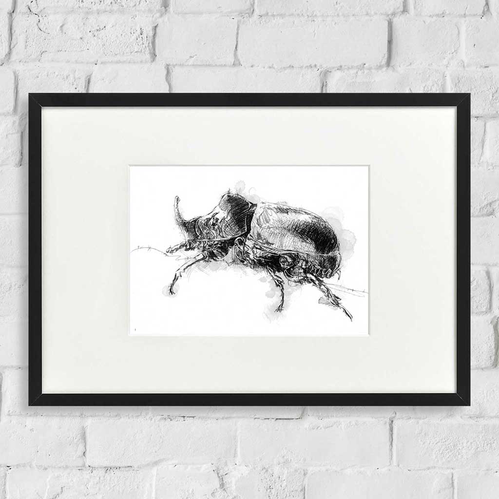 Rhino beetle