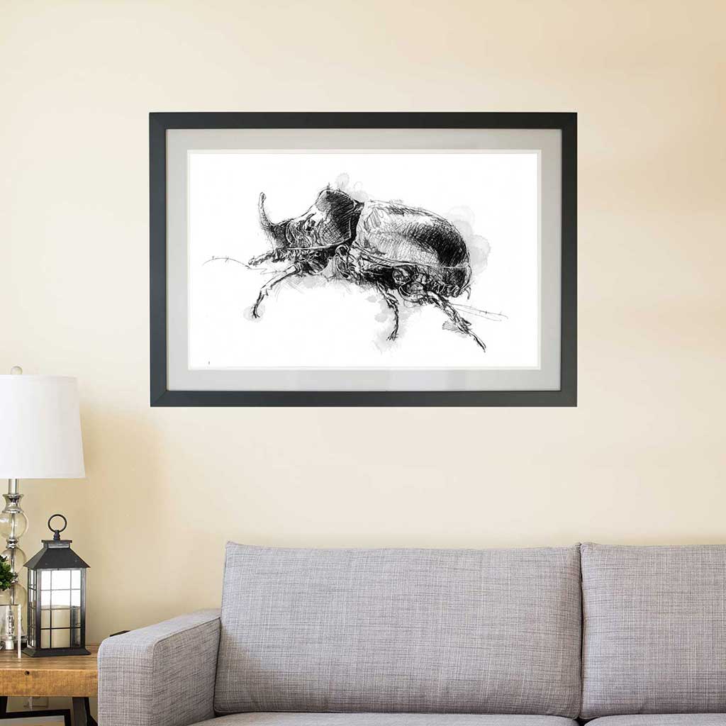 Rhino beetle