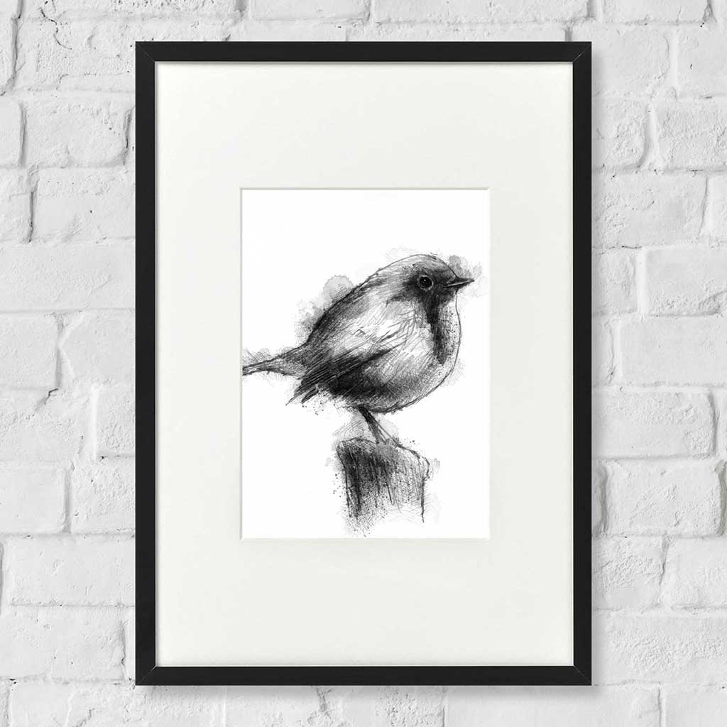 British robin