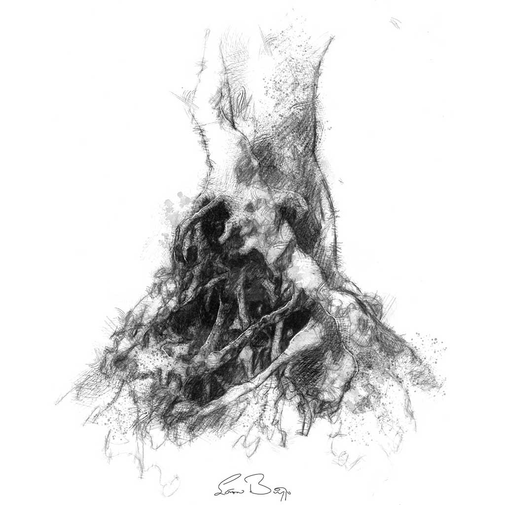 Tree roots
