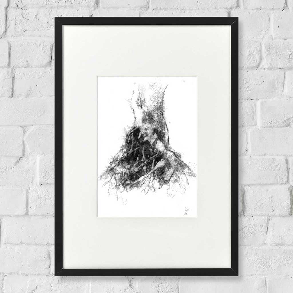 Tree roots