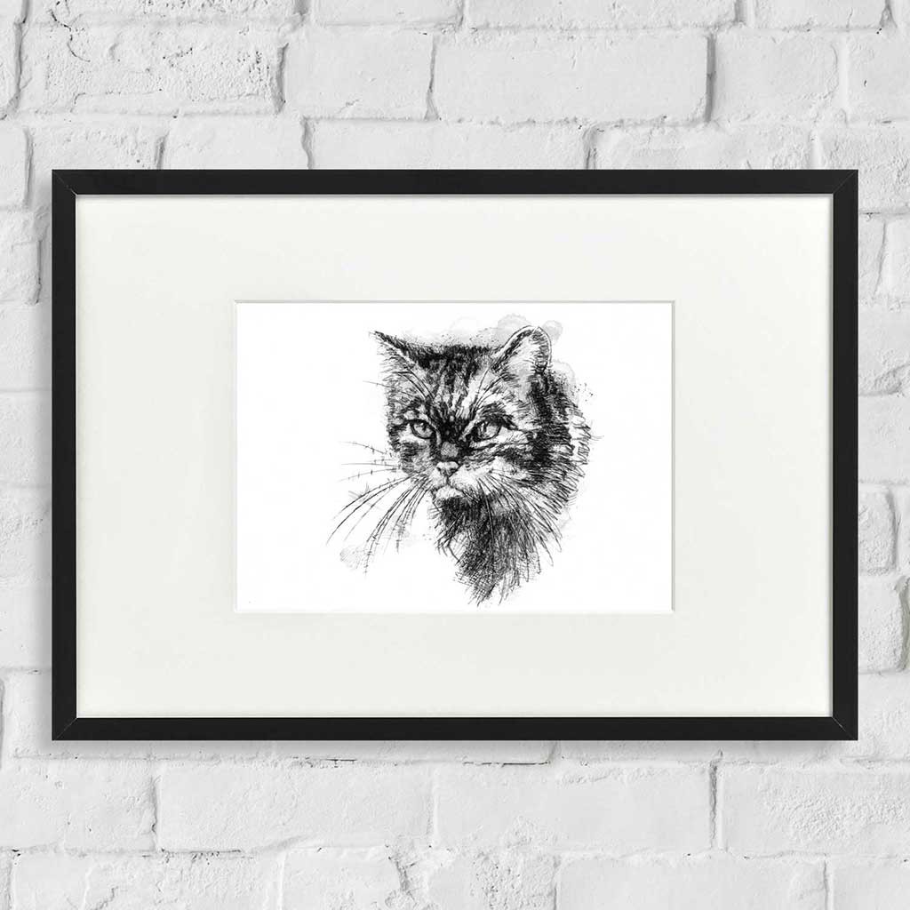 Scottish wild cat