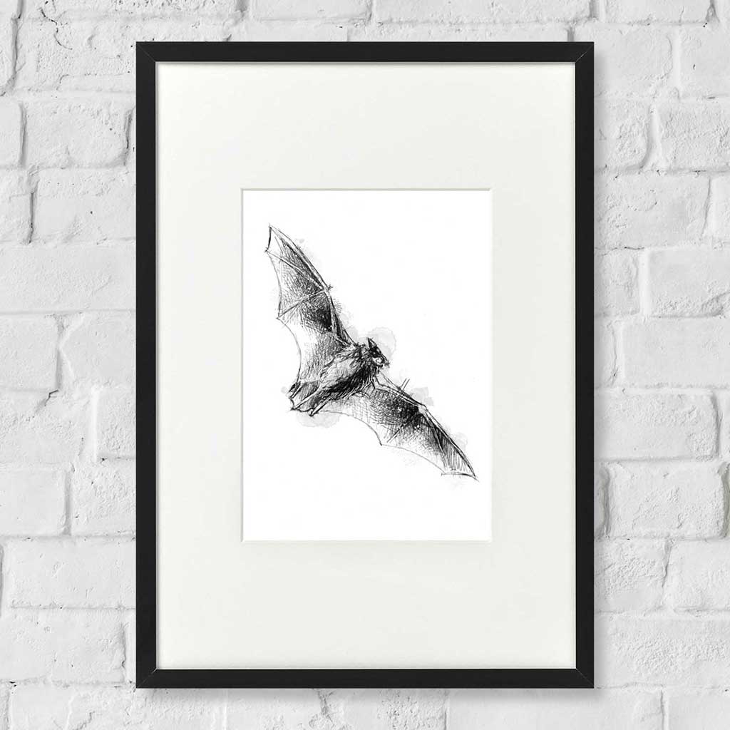 Serotine bat
