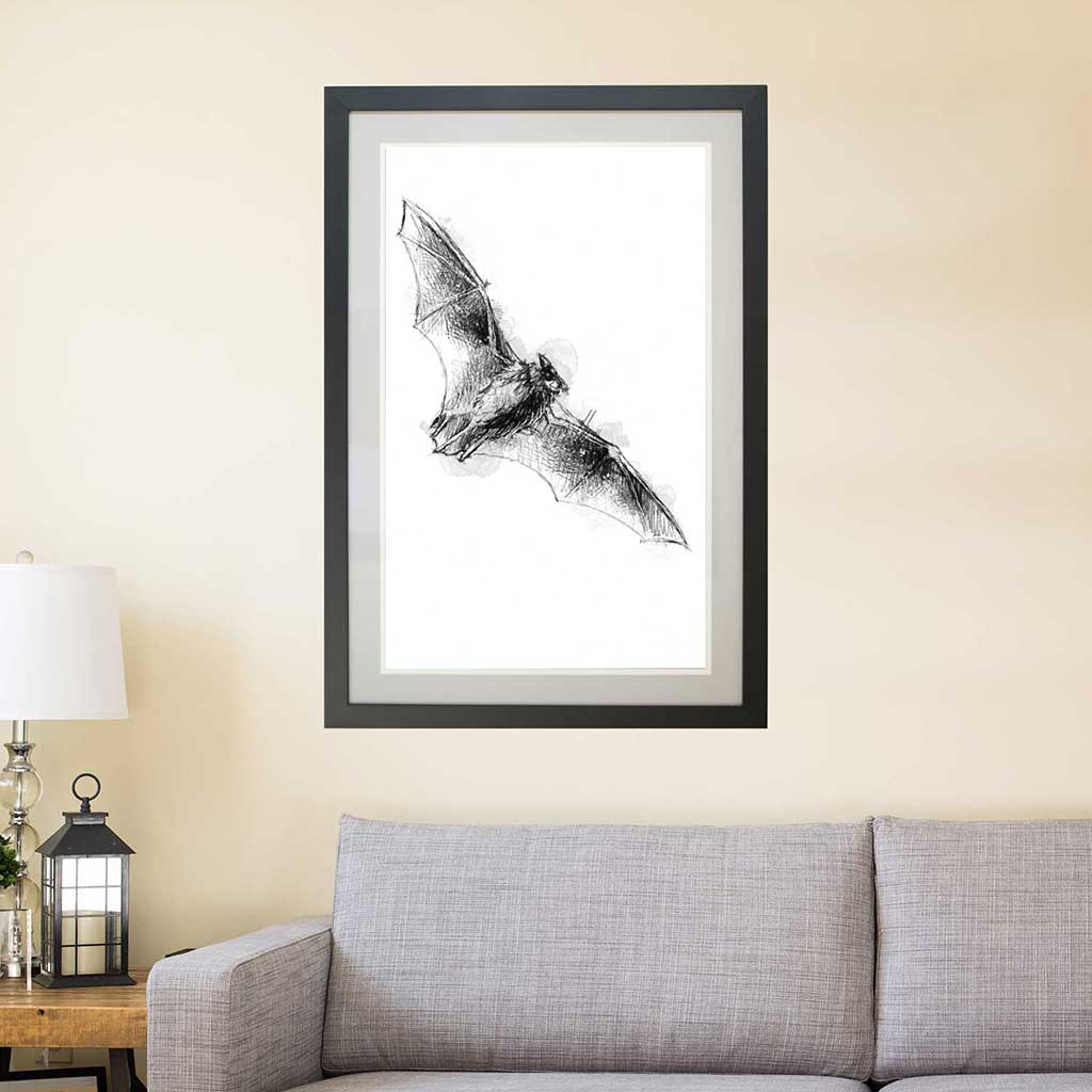 Serotine bat