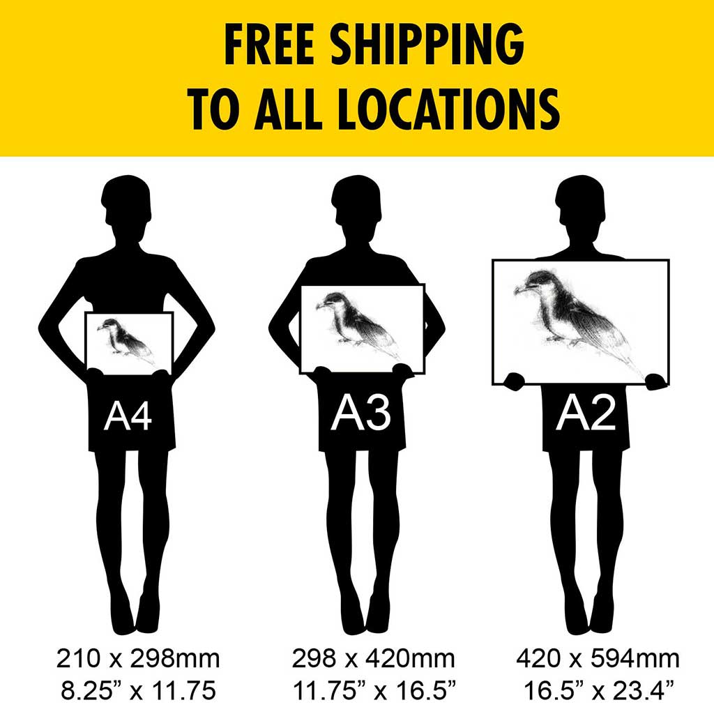 Manx shearwater
