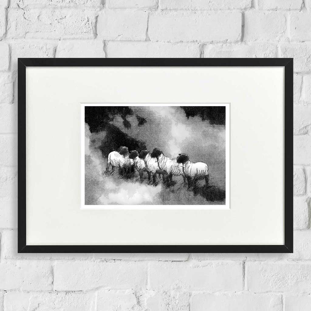 Sheep waiting