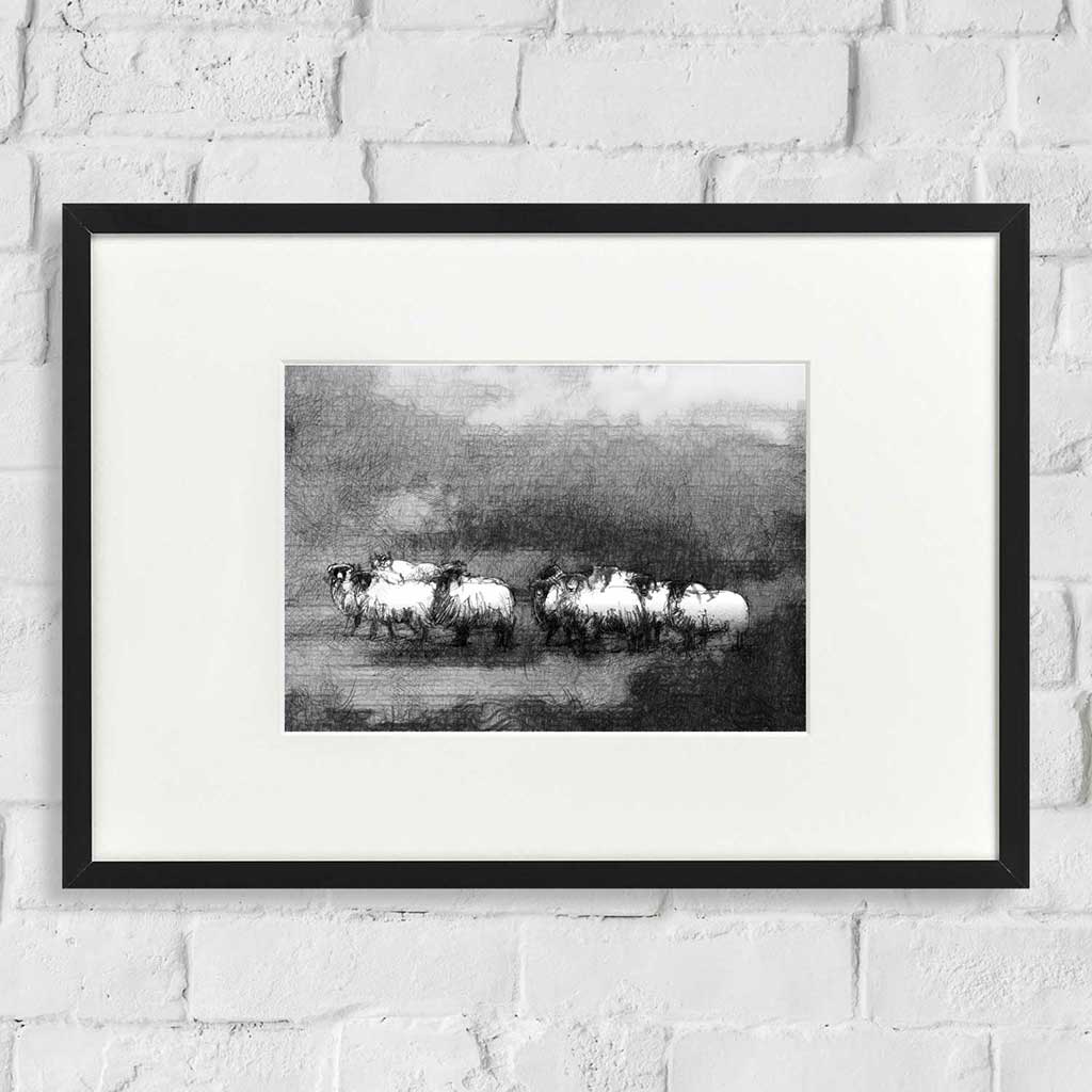 Moorland flock