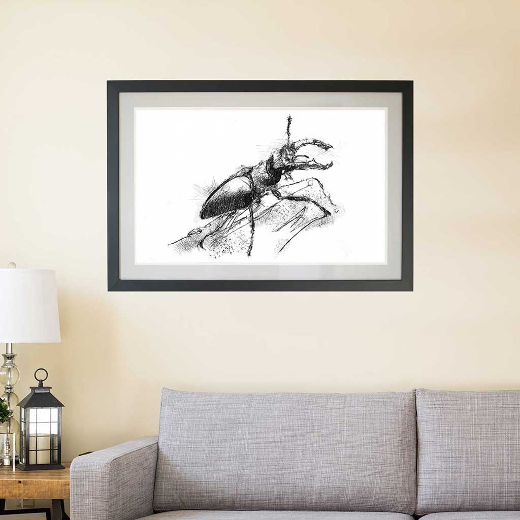 Stag beetle