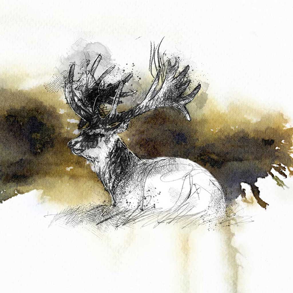 Moorland stag