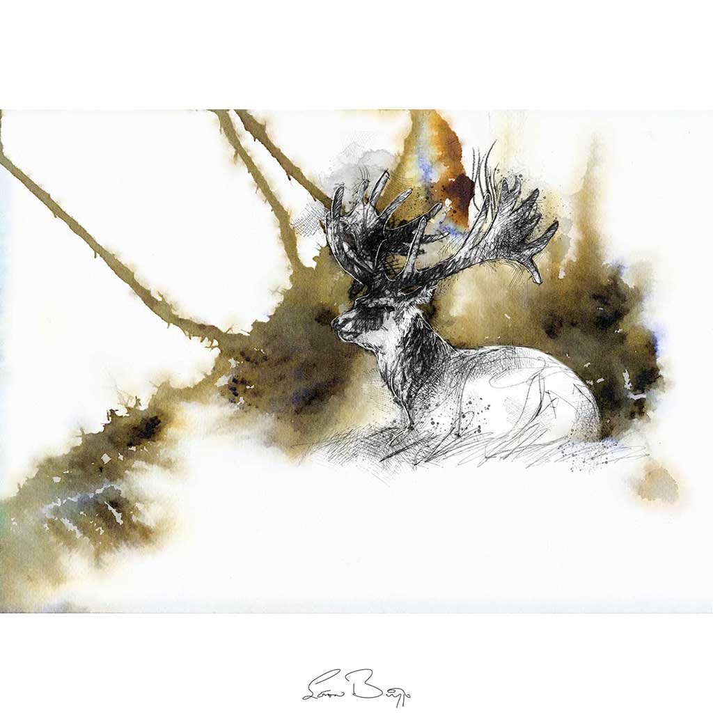 Stag resting