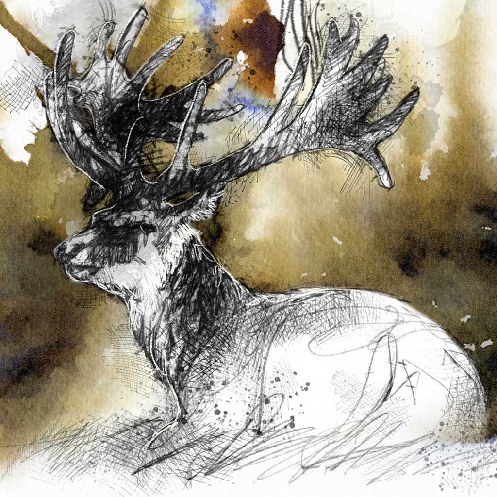 Stag resting