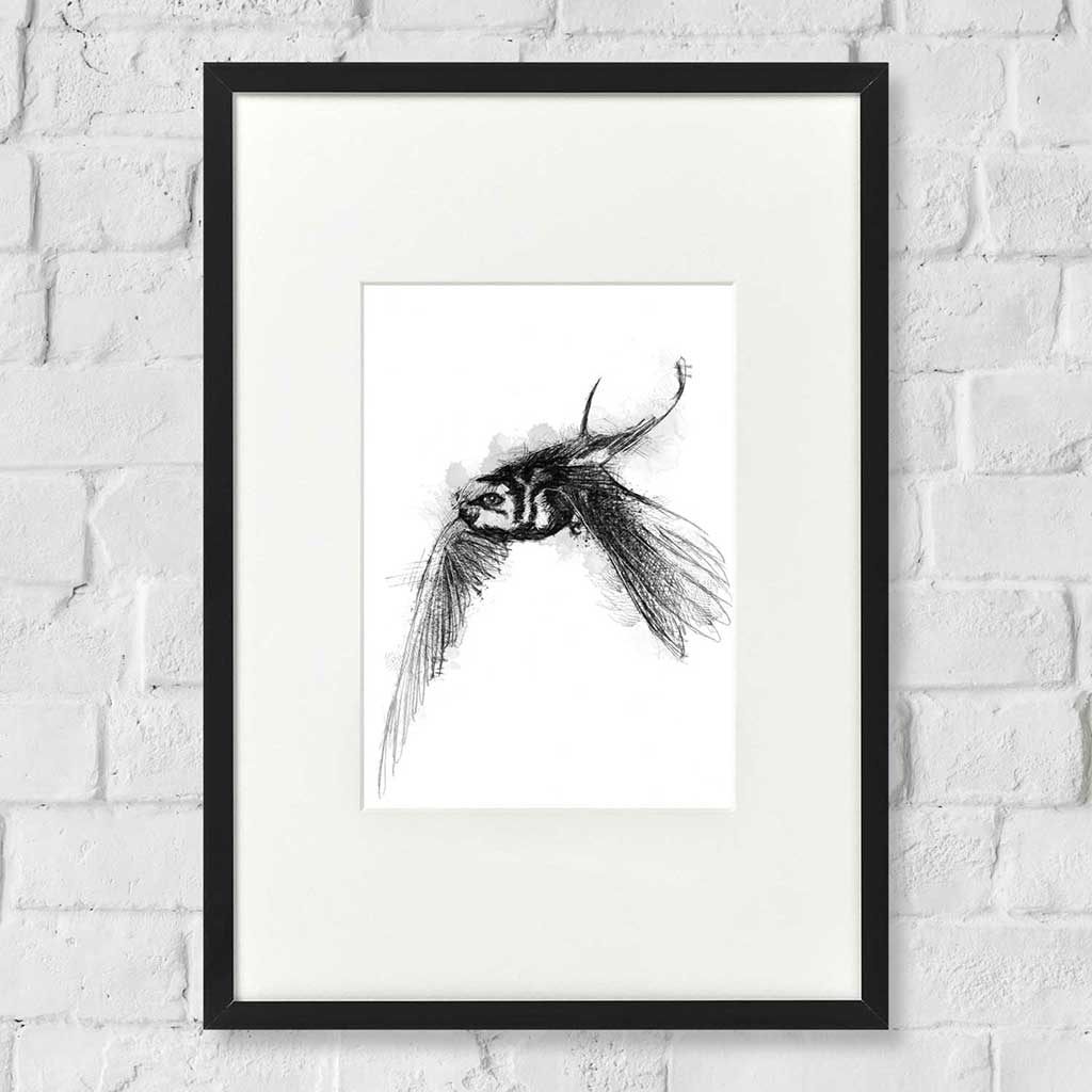 Barn swallow