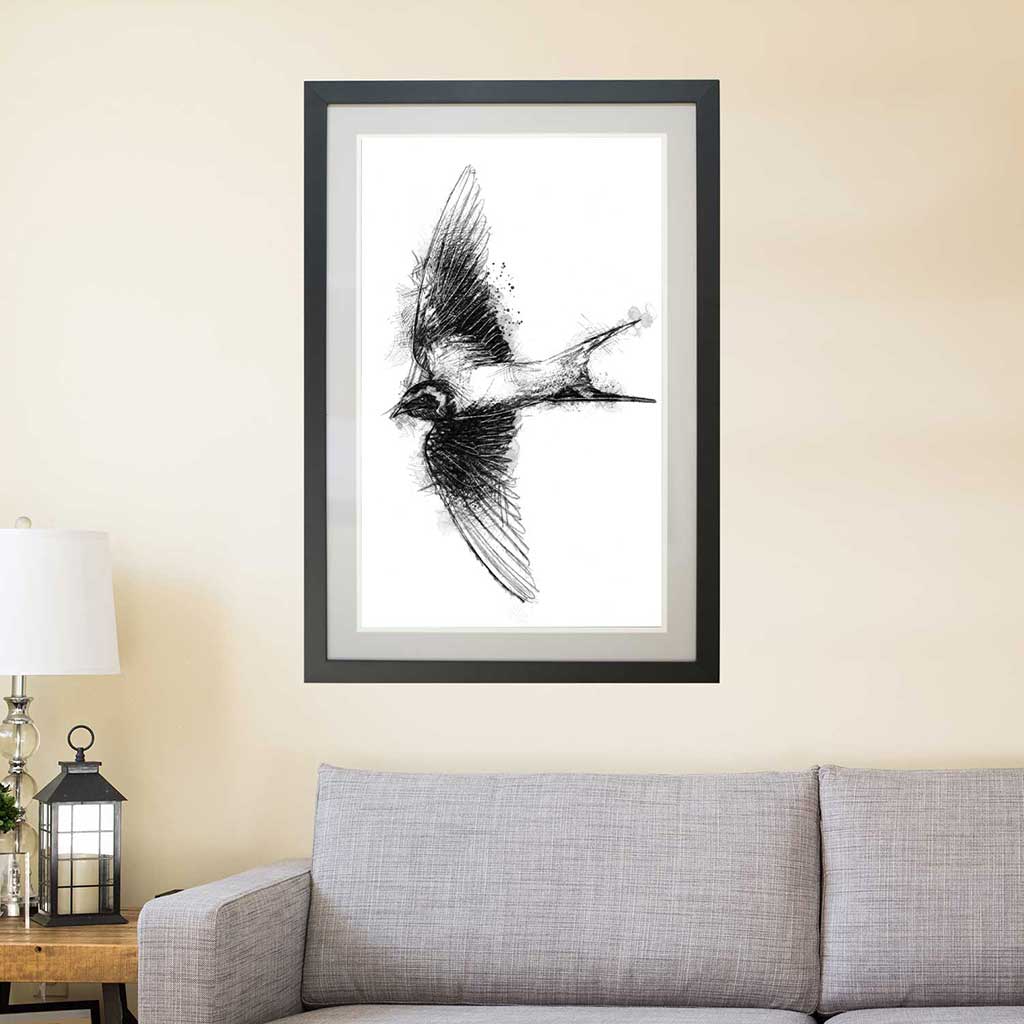 Barn swallow