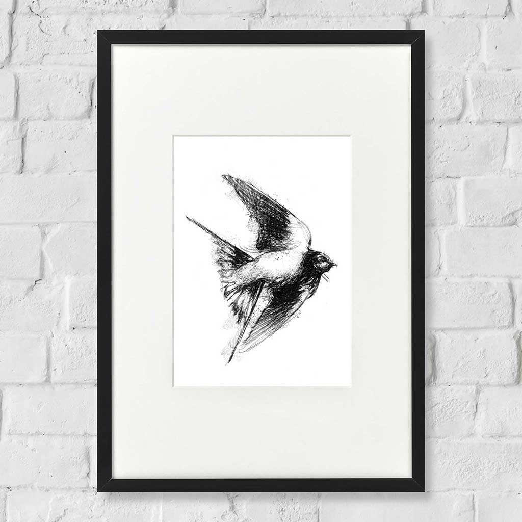 Barn swallow