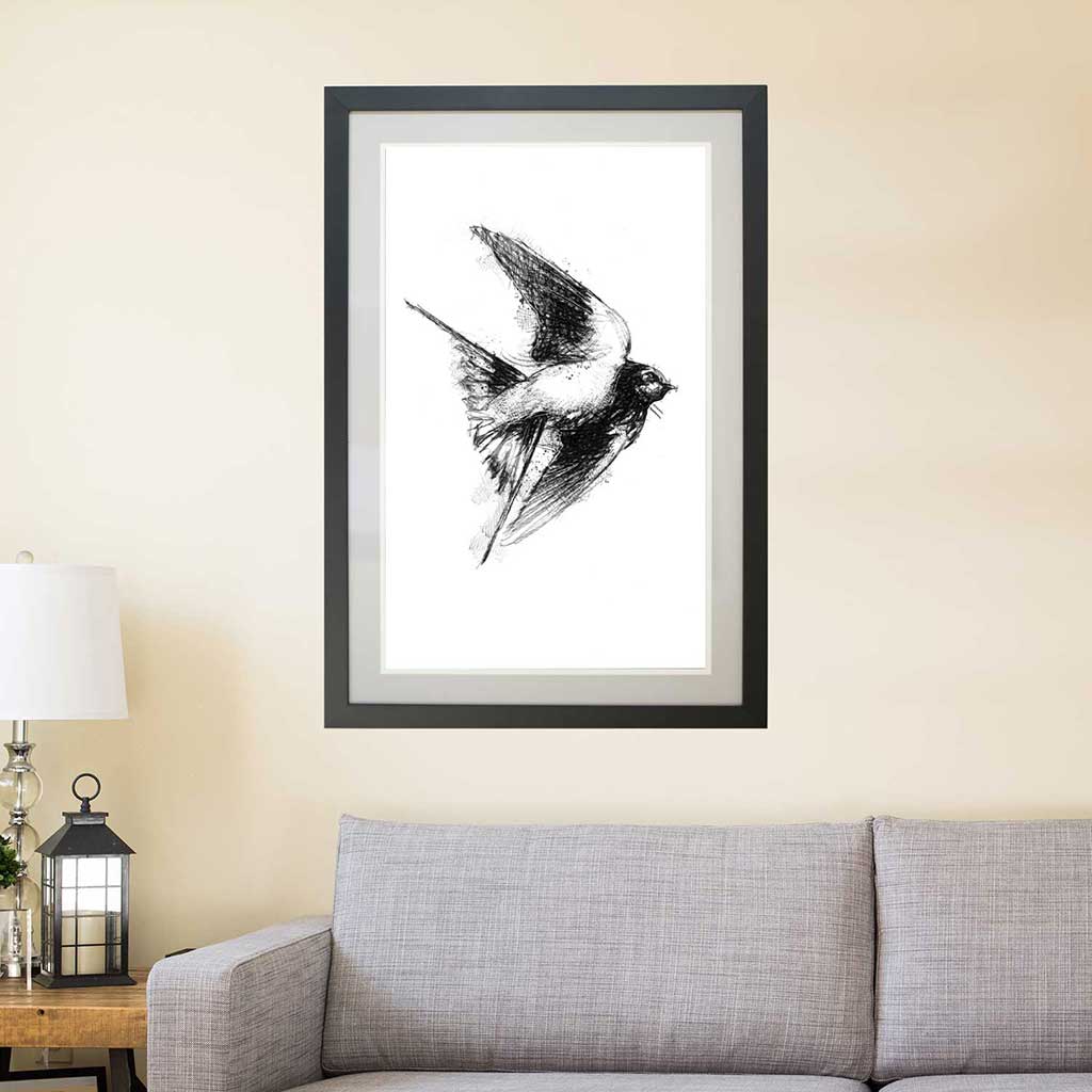 Barn swallow