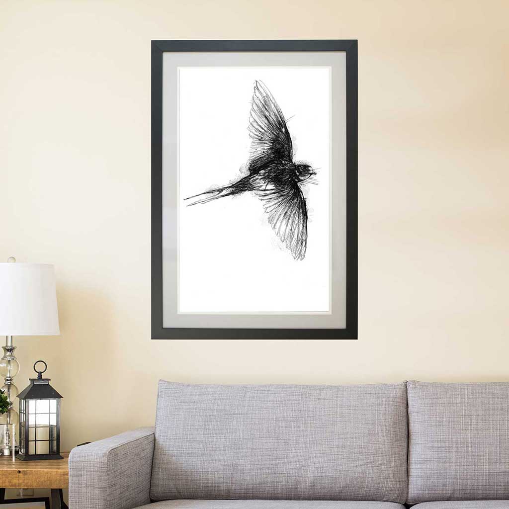 Barn swallow
