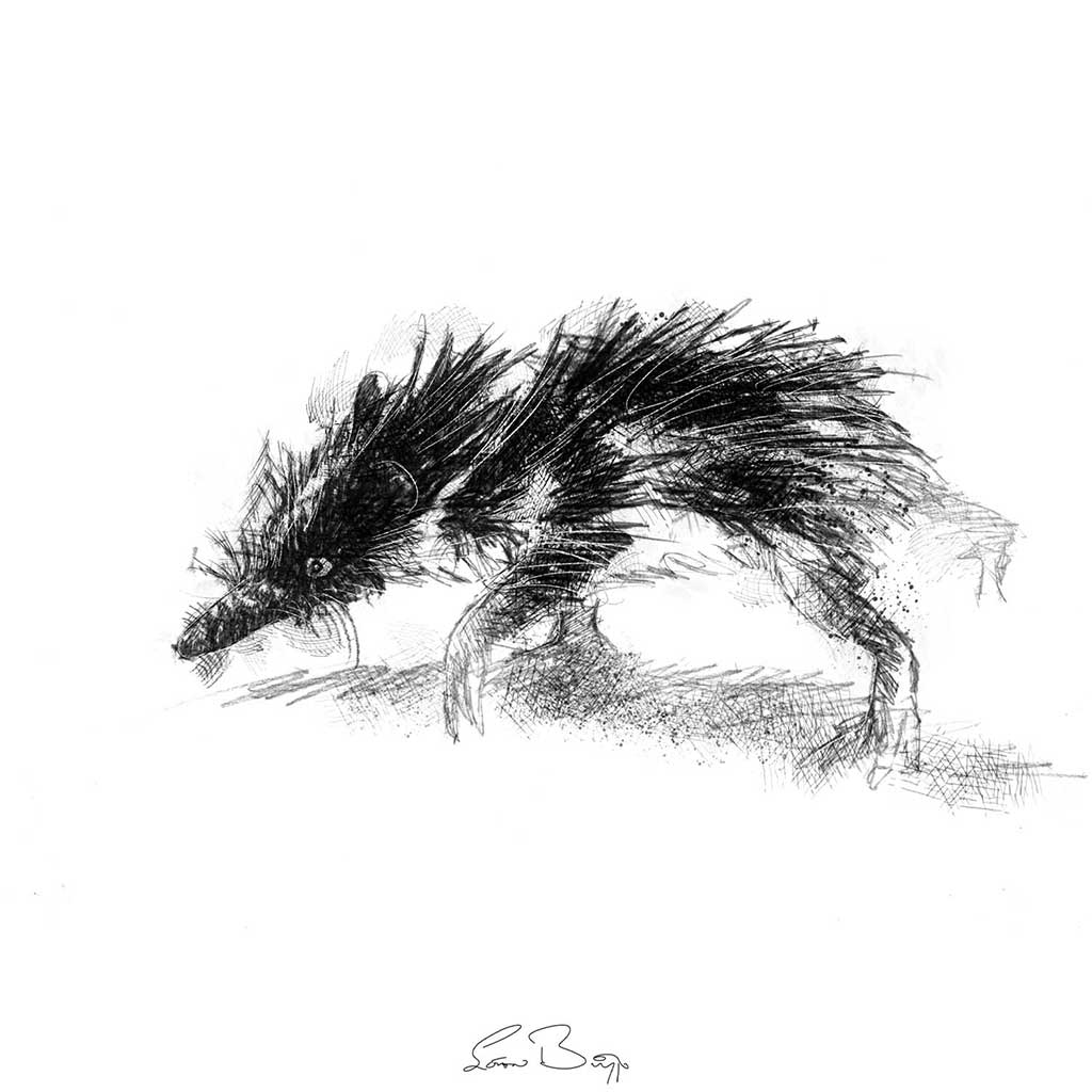 Tenrec