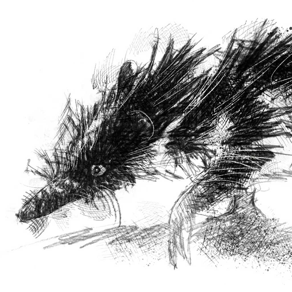 Tenrec