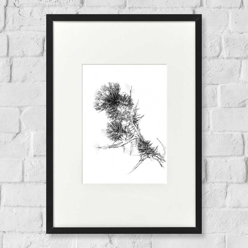 Thistle