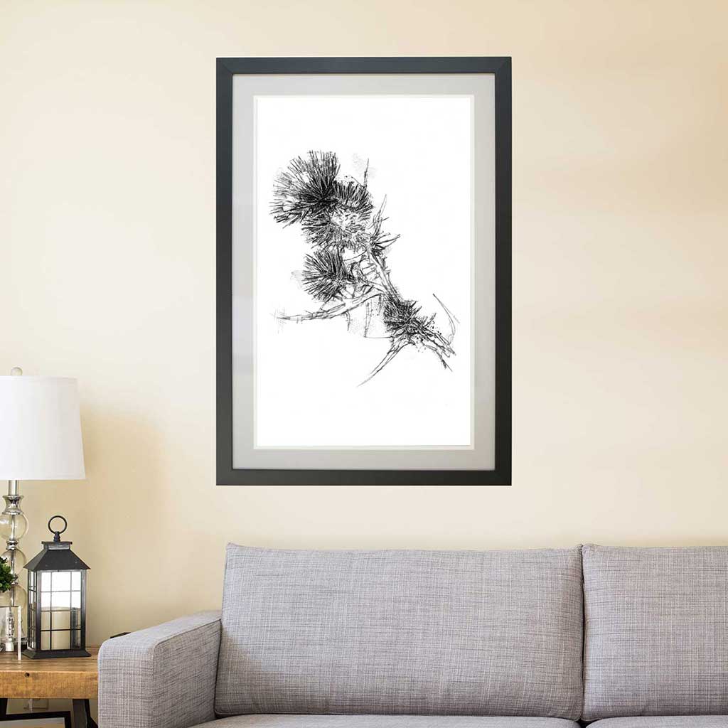 Thistle