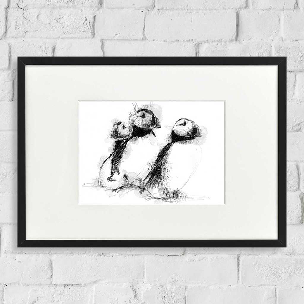 Three puffins