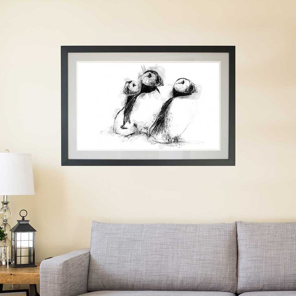 Three puffins