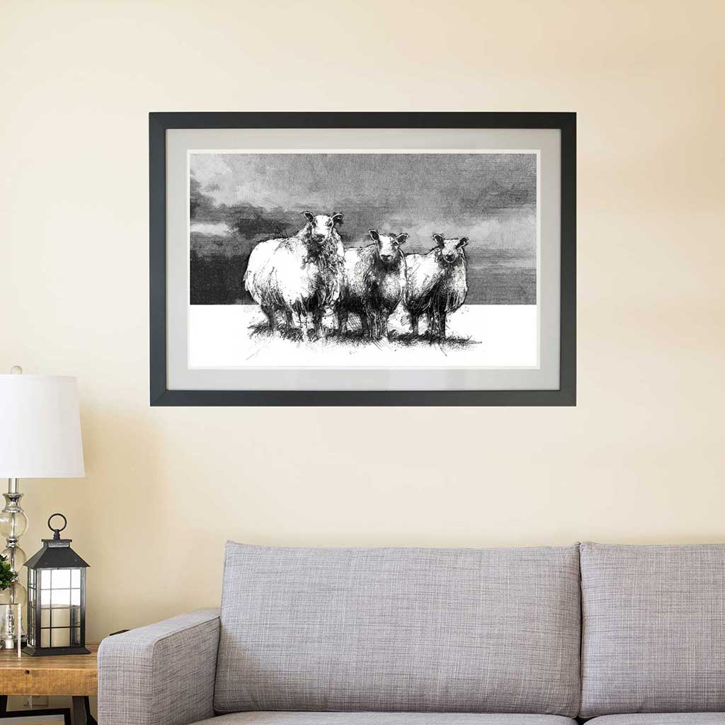 Three sheep