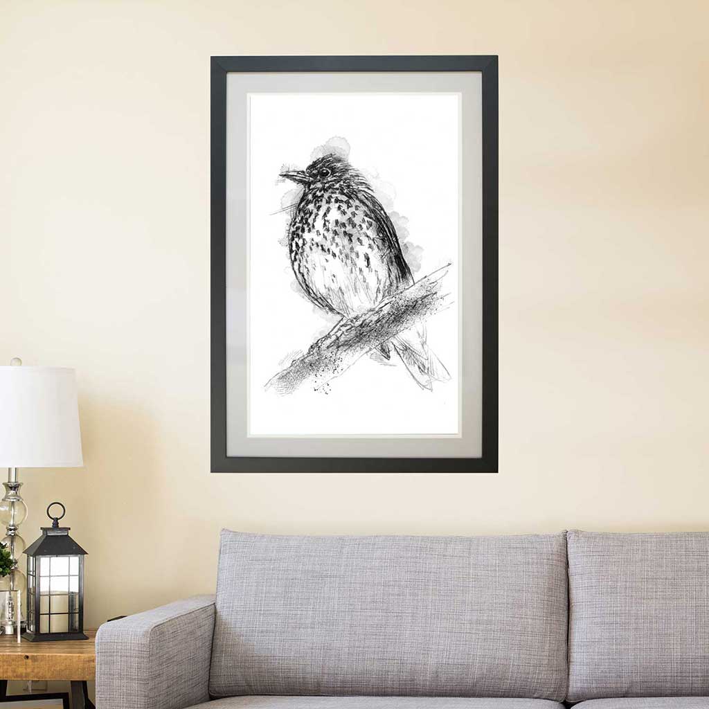 British thrush