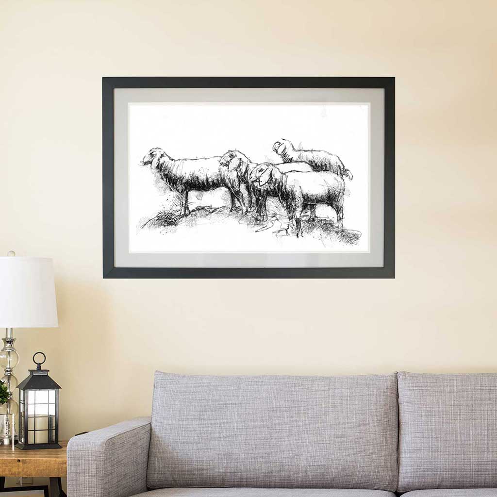 Tiroler sheep