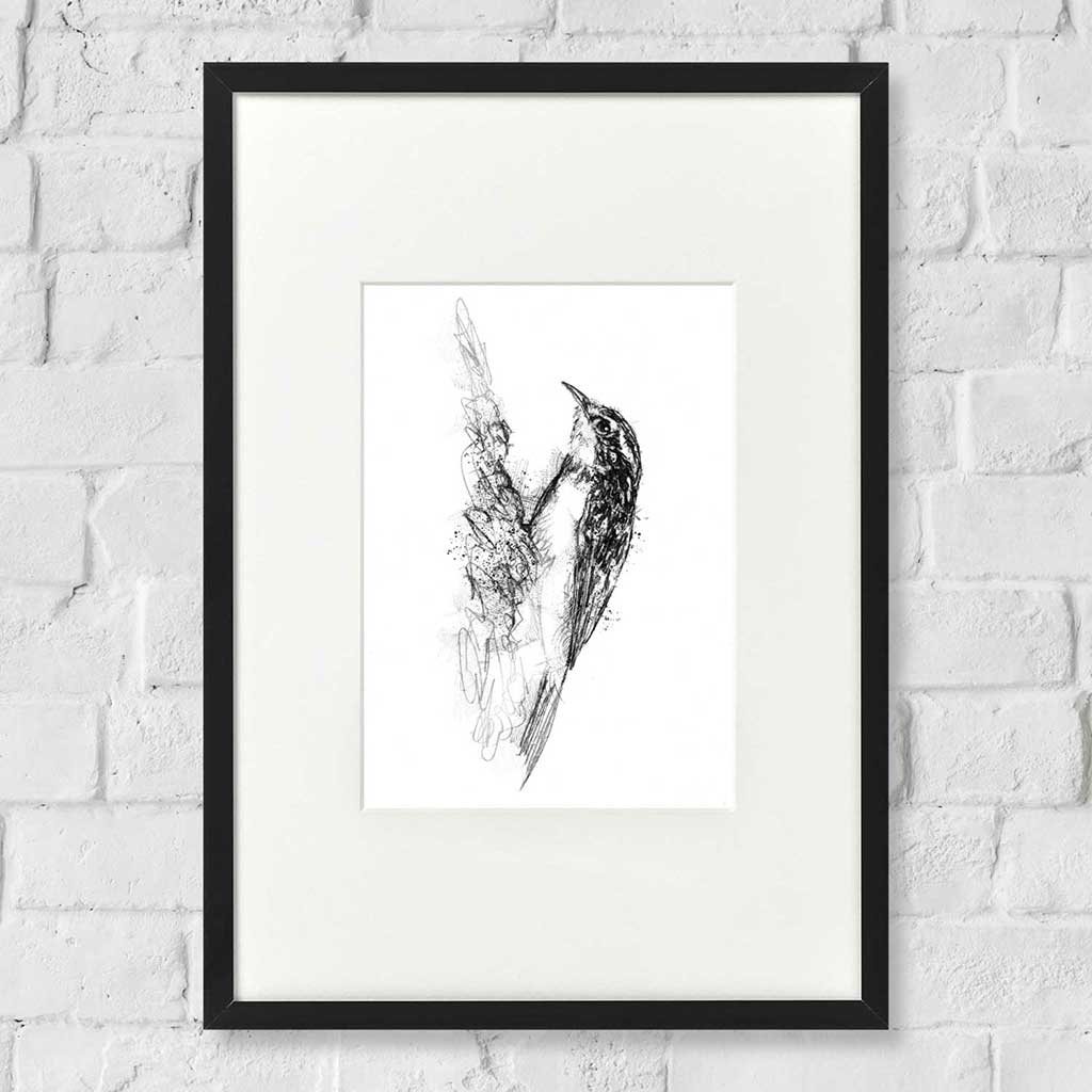 Tree creeper