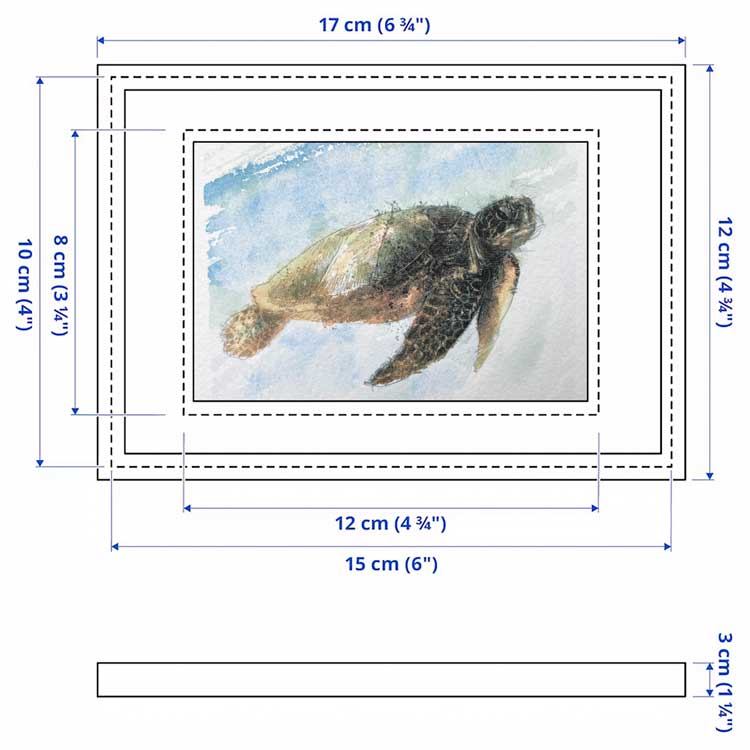 Turtle mini sketch