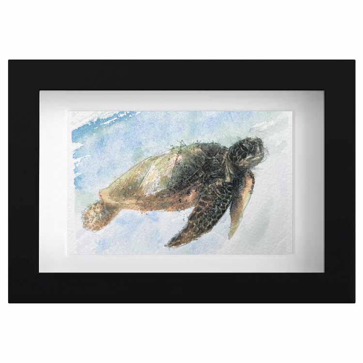 Turtle mini sketch