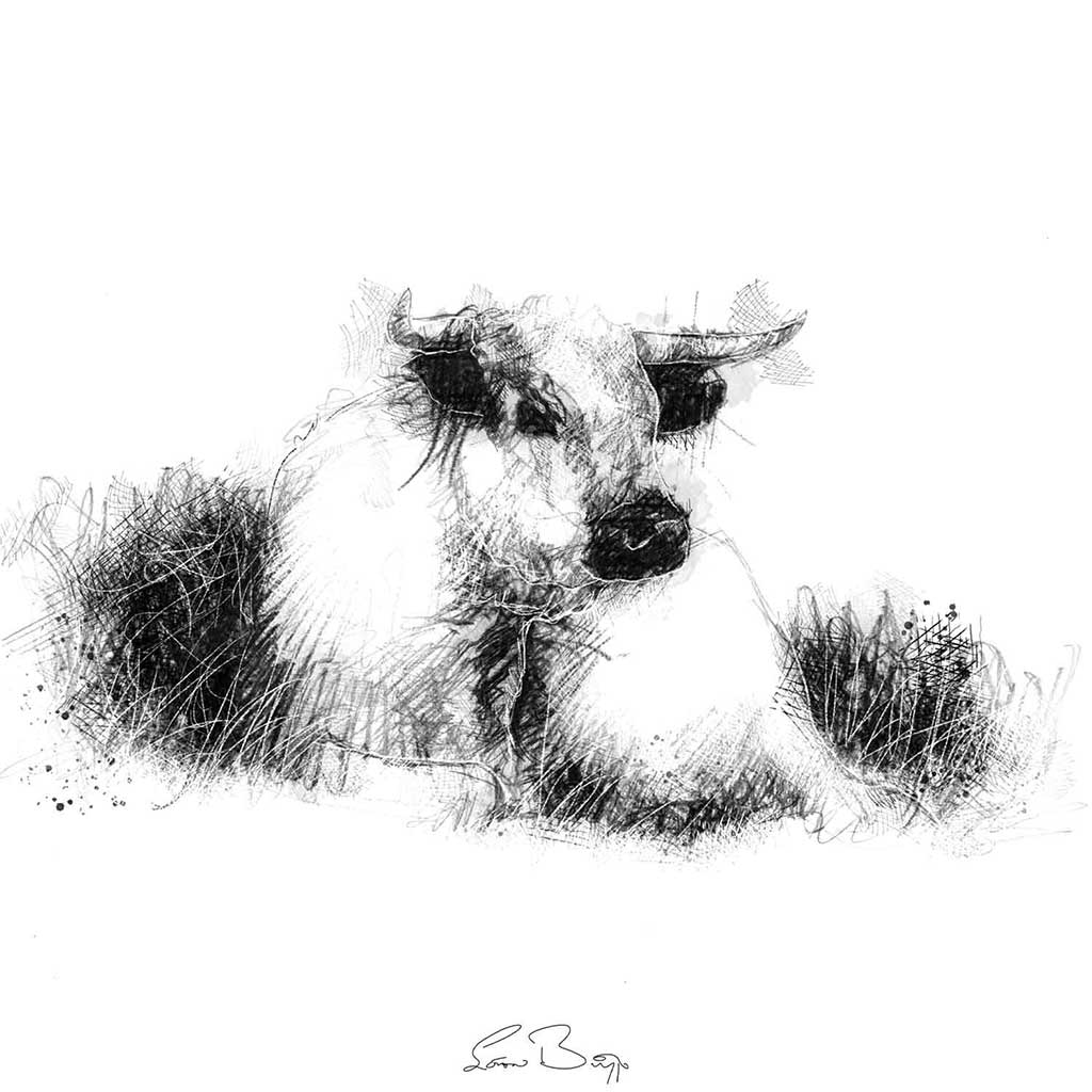 Vaynol cow
