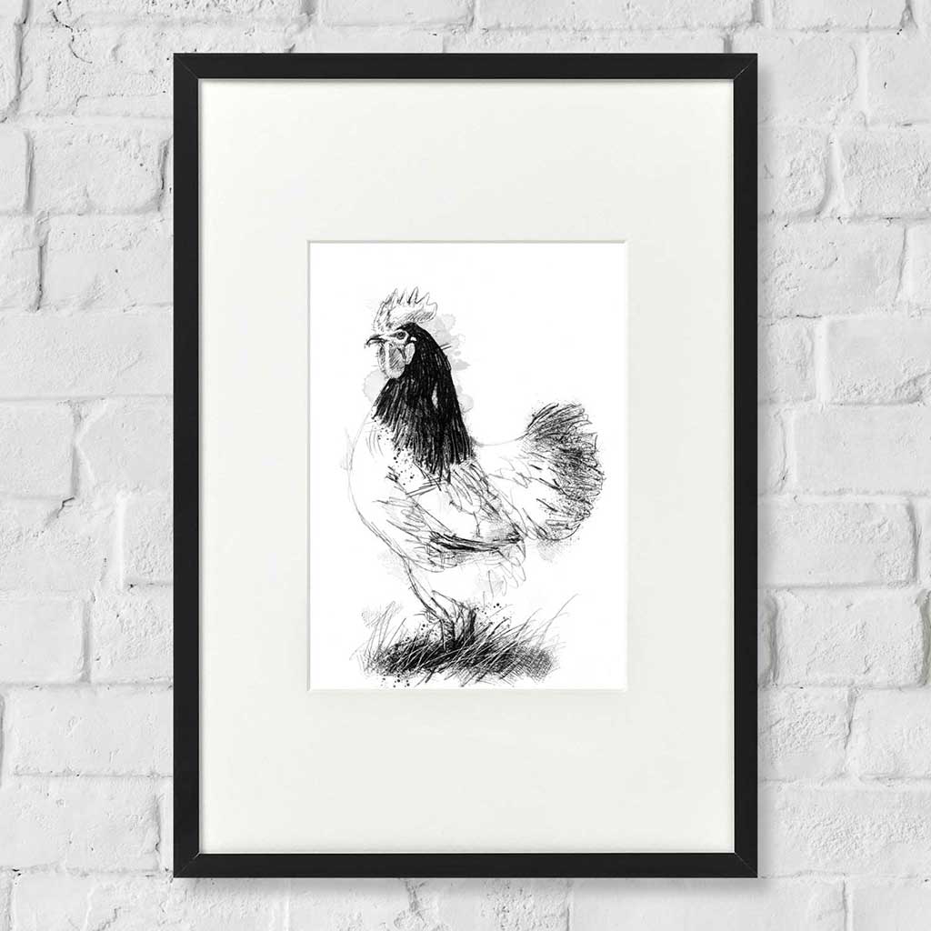 Vorwerk cockeral