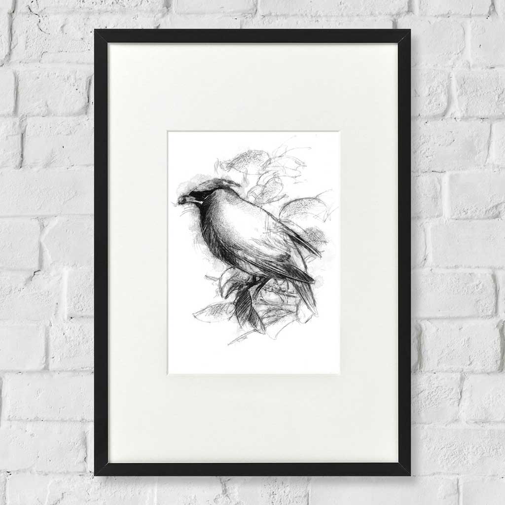 Redwing bird
