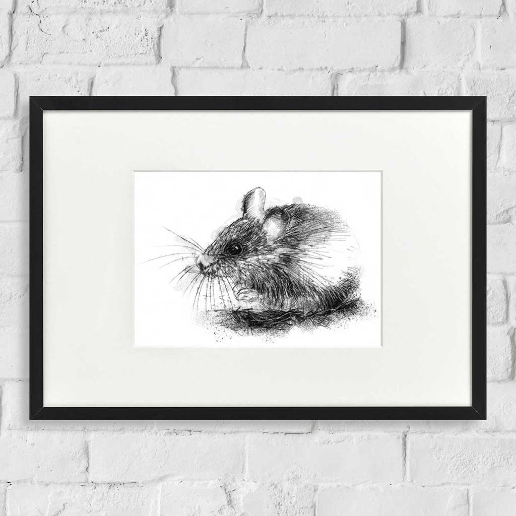 Wood mouse