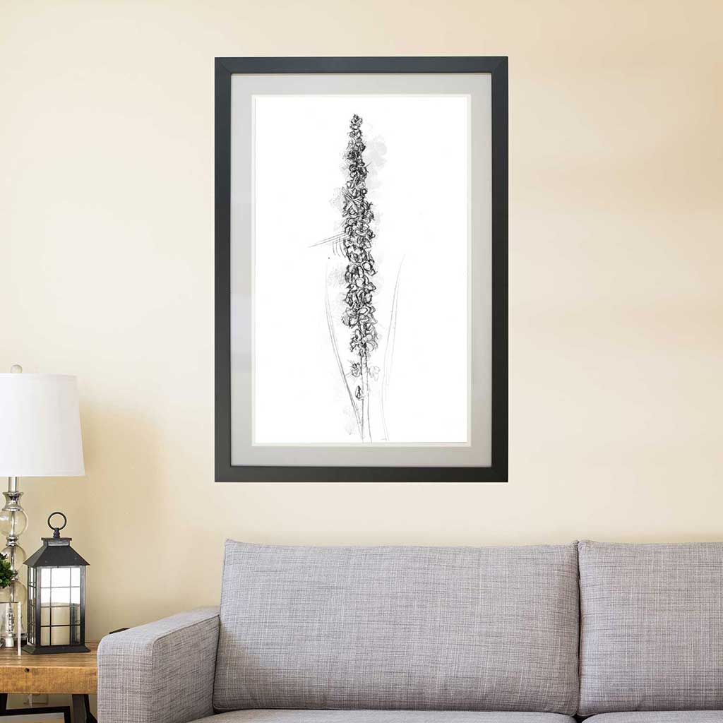 Agrimony