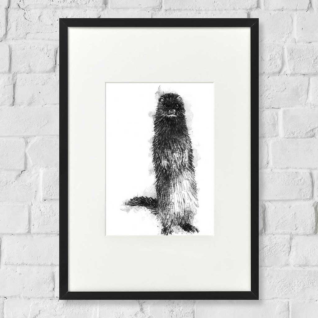American mink