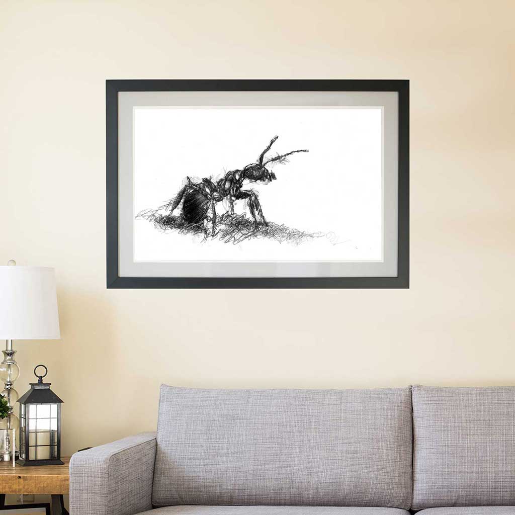 Wood ant