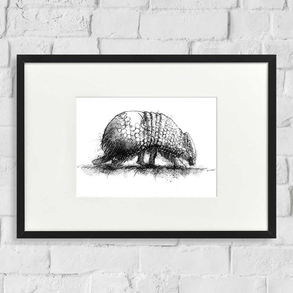 Armadilo