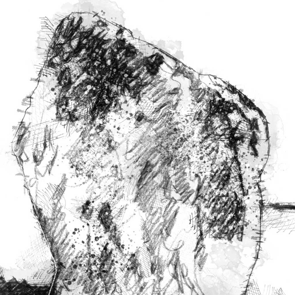 Avebury stones