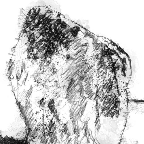 Avebury stones